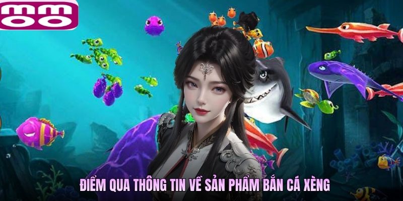 Điểm qua thông tin về sản phẩm bắn cá Xèng